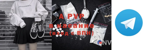 a pvp Инта