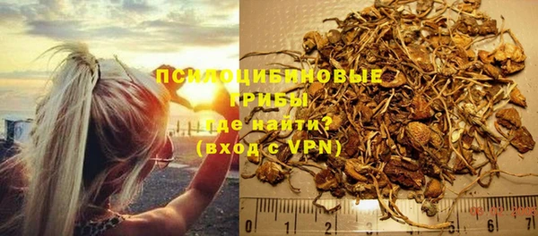 гашик Иннополис