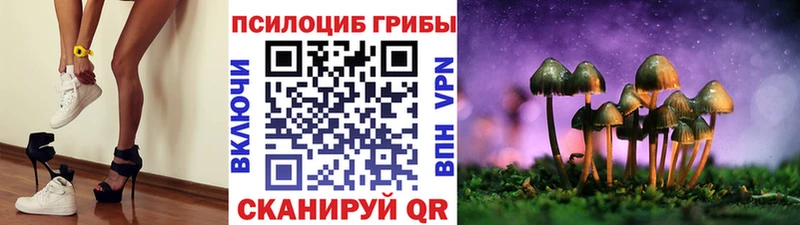 Купить закладки Сызрань Псилоцибиновые грибы Psilocybine cubensis